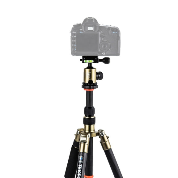Triopo GT-2505x8.C Adjustable Portable Carbon Fiber Tripod (Gold) with B-1 Aluminum Ball Head (Black) for Canon Nikon Sony DSLR Camera