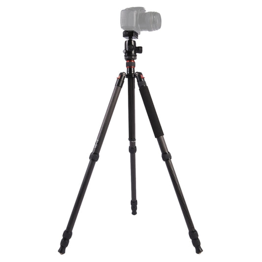 Triopo GT-2804X8.C Adjustable Portable Carbon Fiber Tripod with B-2 Aluminum Ball Head for Canon Nikon Sony DSLR Camera(Black) - free shipping - PMC Jewellery - Order now!