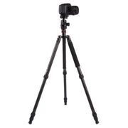 Triopo GT-2804X8.C Adjustable Portable Carbon Fiber Tripod with B-2 Aluminum Ball Head for Canon Nikon Sony DSLR Camera(Black)