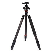 Triopo GT-2804X8.C Adjustable Portable Carbon Fiber Tripod (Gold) with B-2 Aluminum Ball Head (Black) for Canon Nikon Sony DSLR Camera