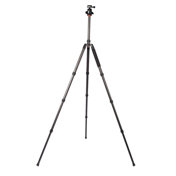 Triopo GT-2804X8.C Adjustable Portable Carbon Fiber Tripod (Gold) with B-2 Aluminum Ball Head (Black) for Canon Nikon Sony DSLR Camera
