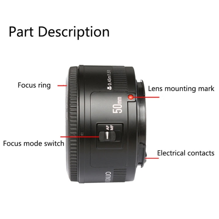 YONGNUO 50mm F1.8 Standard Prime Lens for Canon Camera - free shipping - PMC Jewellery - Order now!