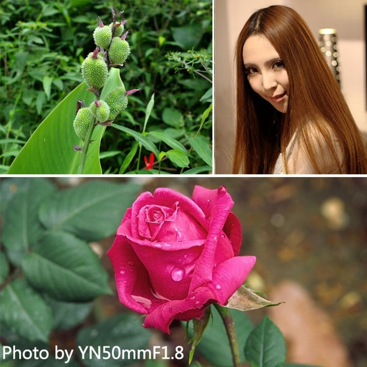 YONGNUO 50mm F1.8 Standard Prime Lens for Canon Camera - free shipping - PMC Jewellery - Order now!