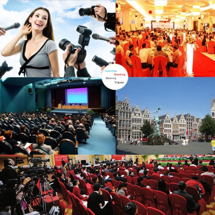 DEBO YS-8 Professional Photography Interview Dedicated Microphone for DSLR & DV Camcorder - free shipping - PMC Jewellery - Order now!