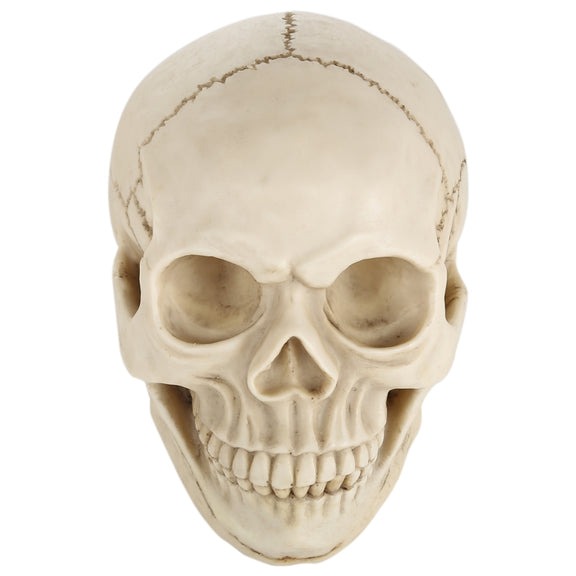 Skull Head Hallowmas Prop Gadget Display, Size: 19(L) x 13(W) x 14cm(H)(White)