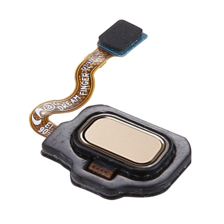 For Galaxy S8 / S8+ Fingerprint Button Flex Cable(Gold) - free shipping - PMc TechLife - Order now!