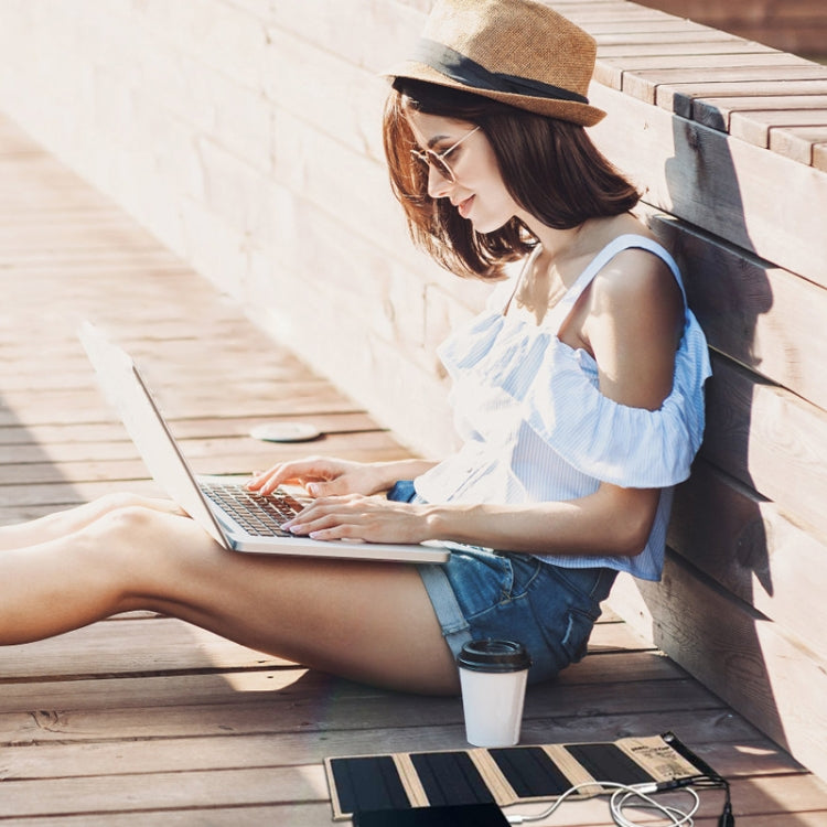 10W Monocrystalline Silicon Foldable Solar Panel Outdoor Charger with 5V Dual USB Ports (Black) - Charger by PMC TechLife | Online Shopping South Africa | PMC TechLife | Buy Now Pay Later Mobicred