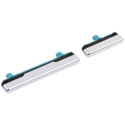 For Samsung Galaxy S21+ 5G Power Button and Volume Control Button(Silver)