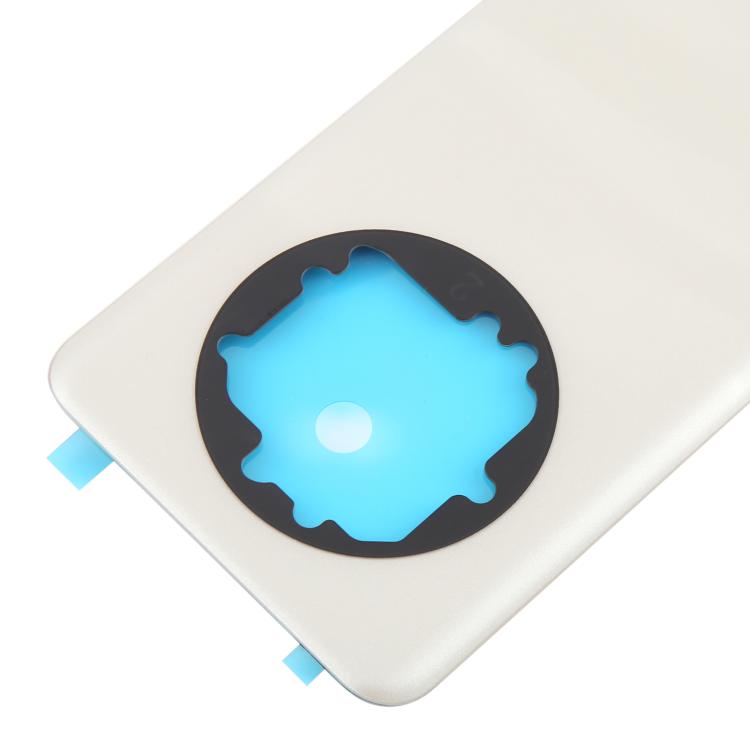 For Realme 13 Pro Back Cover(Gold)