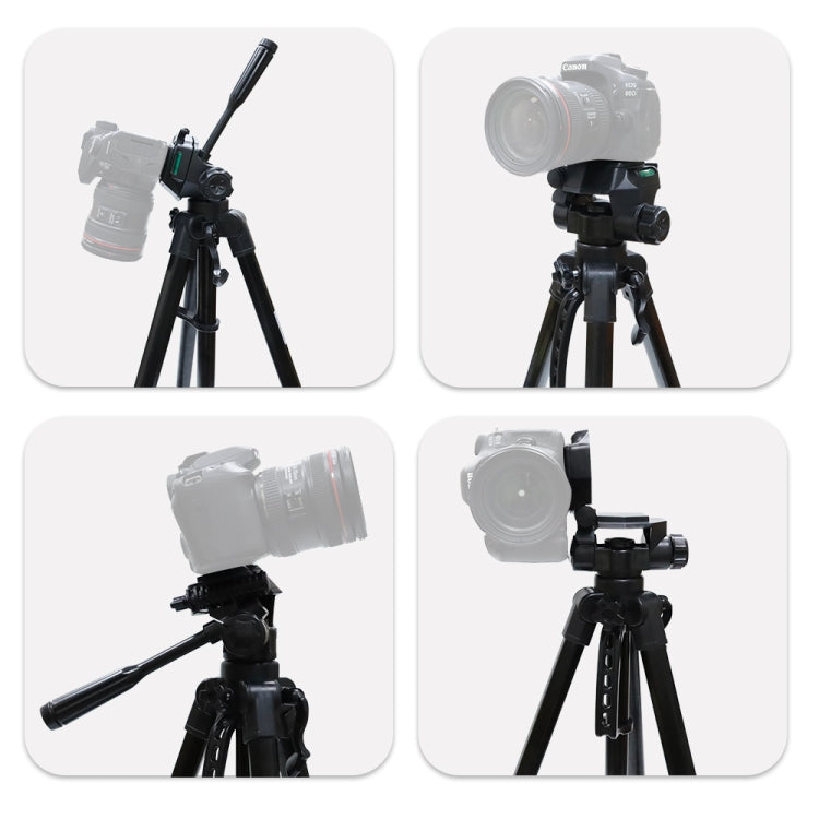 L-3600 Live Tripod with Three-Dimensional Damping Gimbal  Detachable Quick Release Plate  Height Adjustment 62-170cm for SLR Camera  Live Light  Projector ( Black) - Tripods by PMC TechLife | Online Shopping South Africa | PMC TechLife | Buy Now Pay Later Mobicred