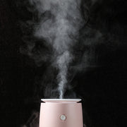 Concise Fish Pattern Mini Home Mute Bedroom Student Dormitory Office Portable USB Wireless Durable Humidifier(Red)
