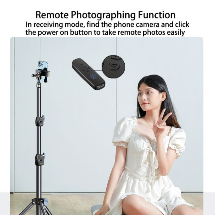 M27 Bluetooth 5.2 Wireless Stereo Music Receiver Transmitter Handsfree 3.5mm Aux Audio Car Kit - Bluetooth Dongle by PMC TechLife | Online Shopping South Africa | PMC TechLife | Buy Now Pay Later Mobicred