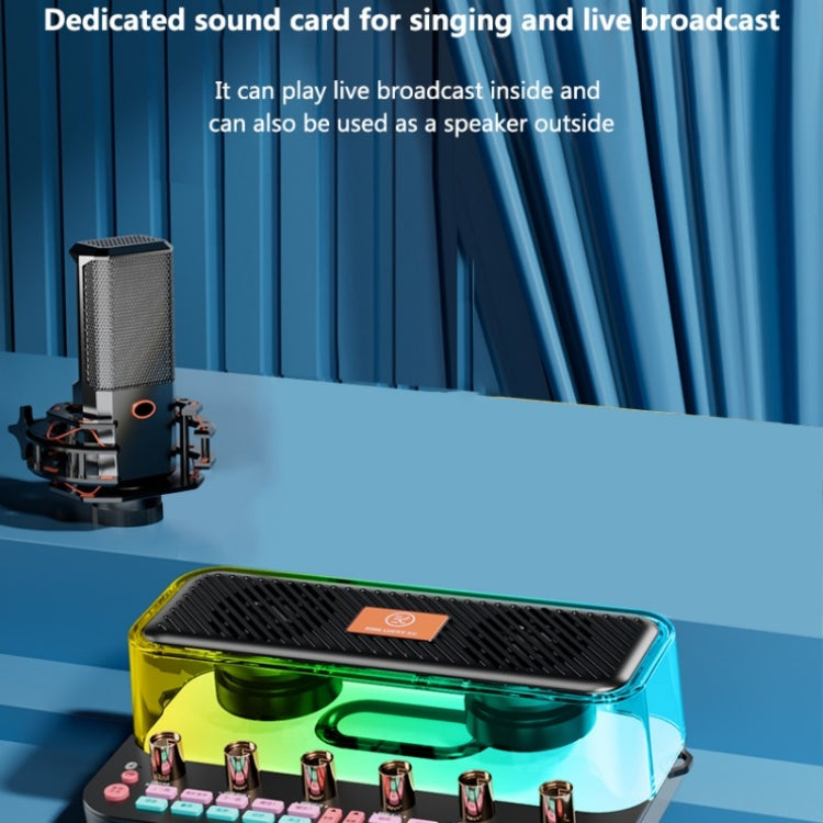 C18 Home Sound Card Karaoke Audio Integrated Microphone Equipment Full Set - free shipping - PMC TechLife - Order now!