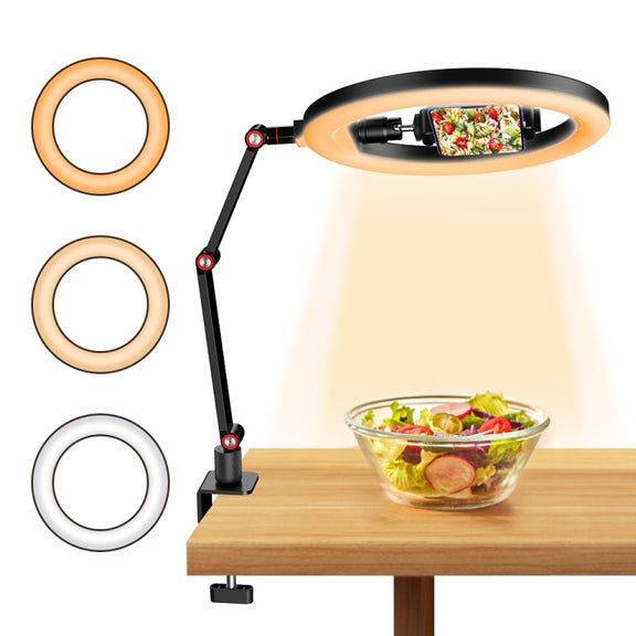 Apexel FL20 10 Inch LED Ring Light Foldable Metal Swing Arm Desk Lamp with Stand & Phone Holder
