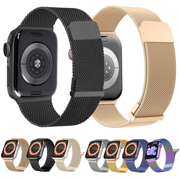For Apple Watch Ultra 49mm Milan Double Magnetic Steel Mesh Watch Band(Silver)