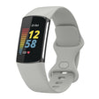For Fitbit Charge 6 Solid Color Butterfly Buckle Silicone Watch Band, Size:S Size(Gray) - Watch Bands by PMC TechLife | Online Shopping South Africa | PMC TechLife | Buy Now Pay Later Mobicred