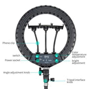 JMARY FM-14R Photography Light 14-inch Live Streaming Ring Light Photography LED Fill Light(EU Plug)