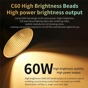 C60R 60W RGB Stage Lamp Professional Video Photography COB Fill Light, Plug:EU Plug