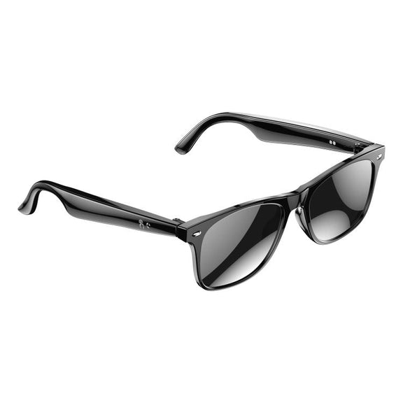 W100 Smart Glasses, Support AI Conversation / AI Intelligent Translation / Bluetooth Call(Black)