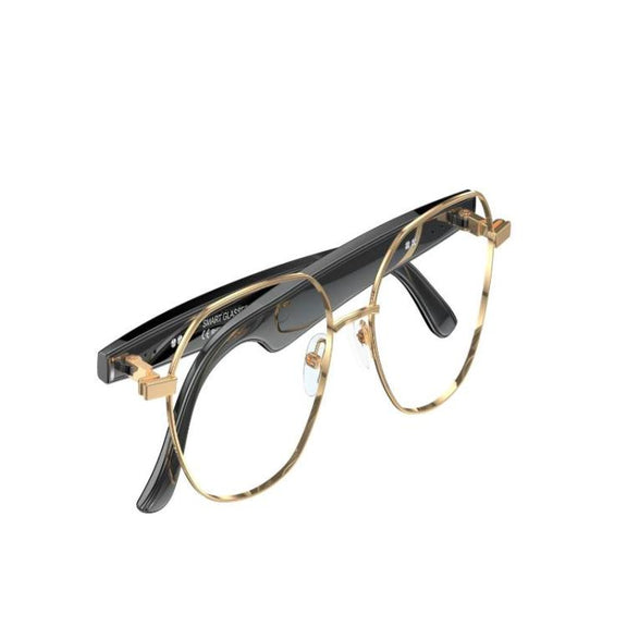 W100B Smart Glasses, Support AI Conversation / AI Intelligent Translation / Bluetooth Call(White)