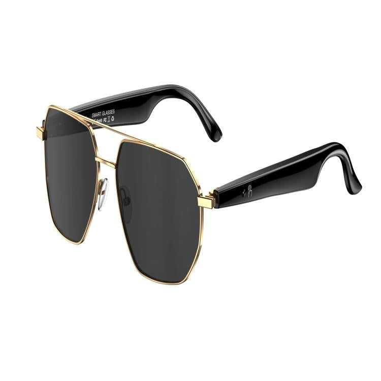 W100C Smart Glasses, Support AI Conversation / AI Intelligent Translation / Bluetooth Call(Black) - free shipping - PMC TechLife - Order now!