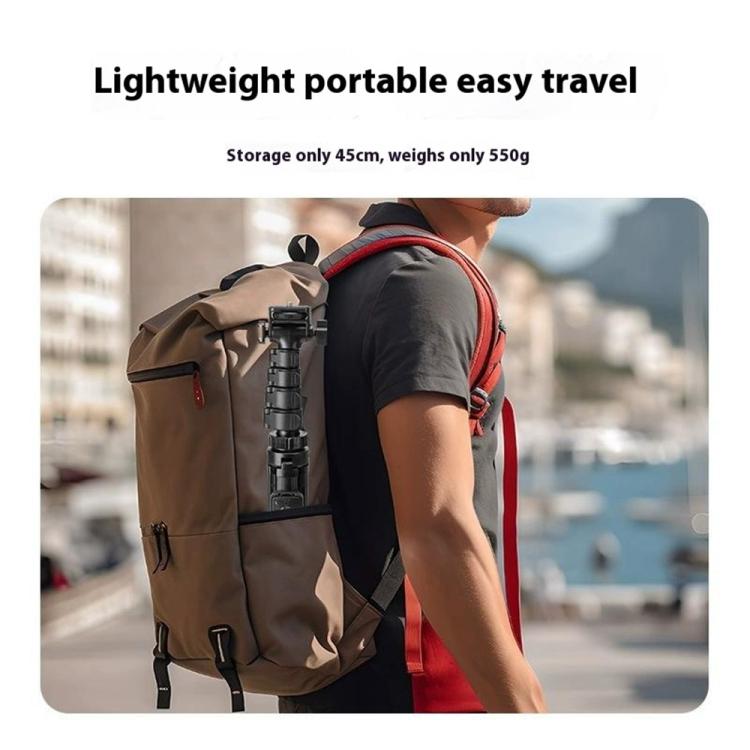 SYA0029425_3.jpg@062c4efd6d0c7135f6dd2fee7cdf9be1