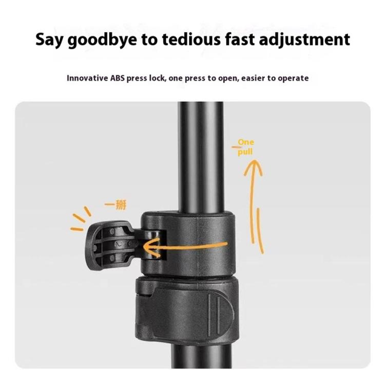 SYA0029425_5.jpg@264a43c6947e41e9f351ccf3dfe16729