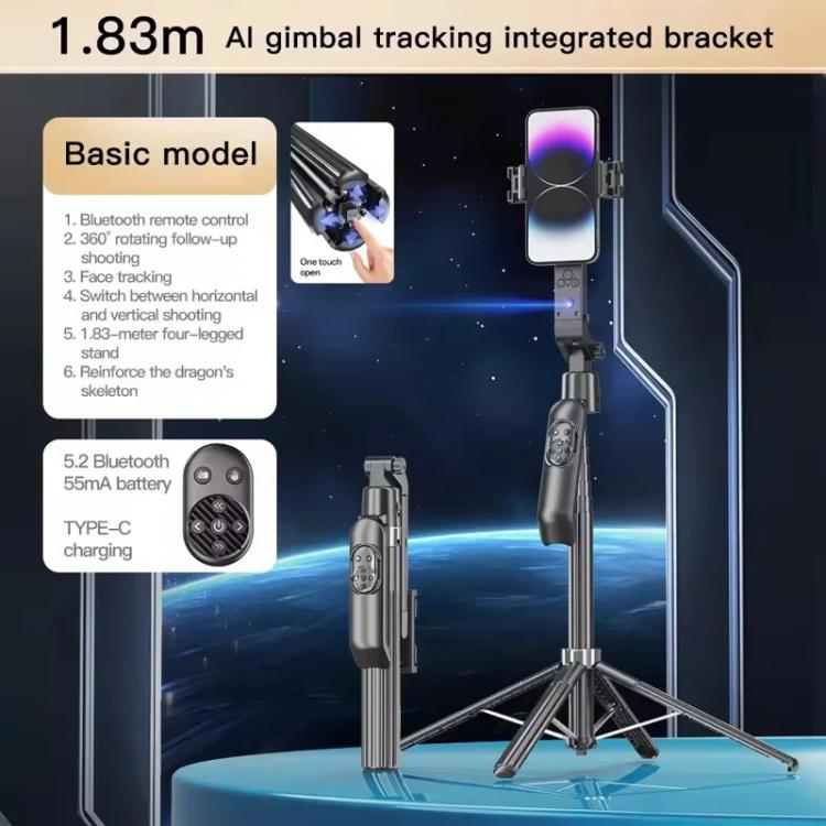 SYA0030525_4.jpg@77fbd0cba664a6e4f65c2369fac80088