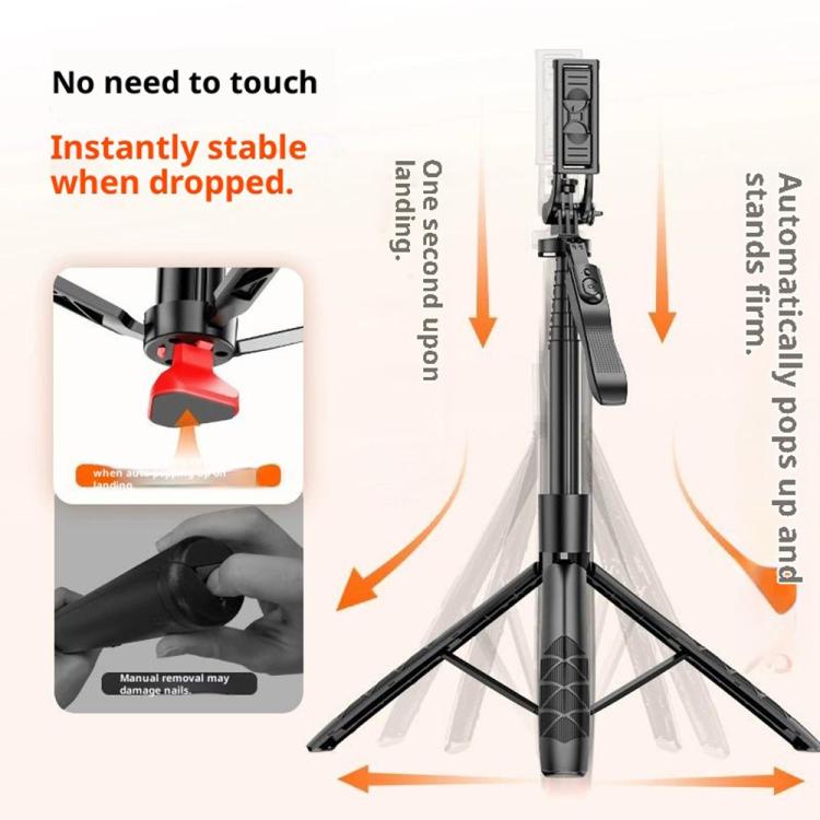 SYA0031296_2.jpg@70f6bf930cd2c5bcb0943f161f54e348