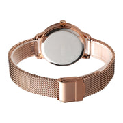 SKMEI 1528 Simple Fashion Lady Watch Casual Netting Scale(Black)