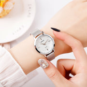 SKMEI 1528 Simple Fashion Lady Watch Casual Netting Scale(Silvery)