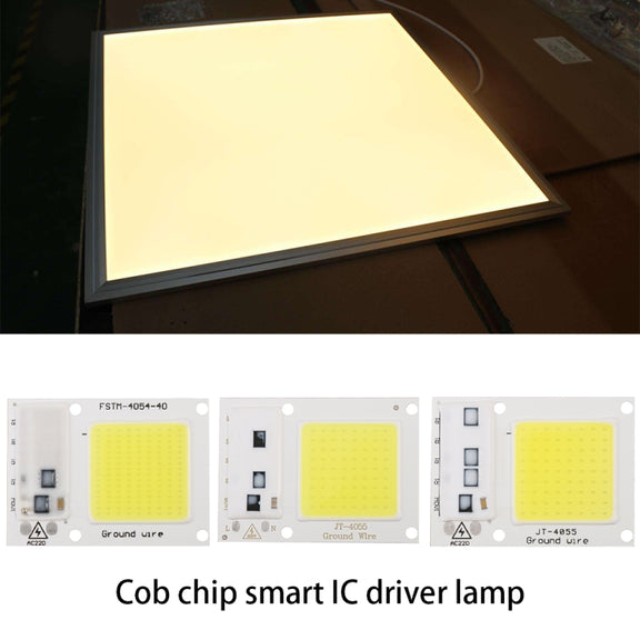 High Power 220V LED FloodlightCool/Warm White COB LED Chip IP65 Smart IC Driver Lamp(50W white)