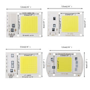 High Power 220V LED FloodlightCool/Warm White COB LED Chip IP65 Smart IC Driver Lamp(30W warm white)