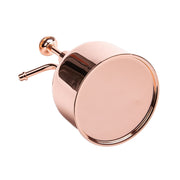 Vintage Brass Gardening Meaty Small Watering Can (Rose Gold)