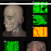 P2-1 Vascular Vein Display Inspection Camera