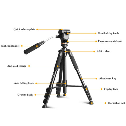 QingZhuangShiDai Q111S Aluminum Alloy Mobile Phone Camera Photography Tripod(Black) - free shipping - PMC Jewellery - Order now!