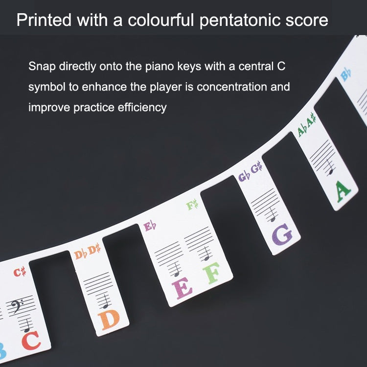 Children Beginner Piano Keyboard Color Stickers Musical Instrument Accessories, Style: Piano Keys 61 keys - Keyboard Instruments by PMC TechLife | Online Shopping South Africa | PMC TechLife