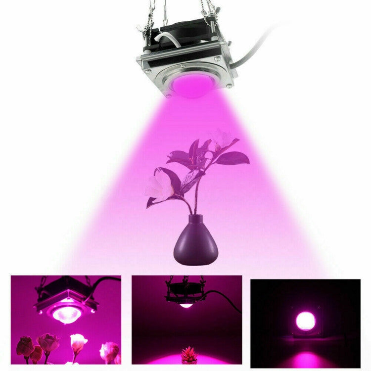 COB Plant Growth Light LED Vegetable Planting Succulent Light, Light:Full Spectrum(EU Plug 220V) - LED Grow Lights by PMc TechLife | Online Shopping South Africa | PMc TechLife | Buy Now Pay Later Mobicred