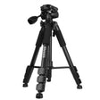 Q111 4-Section Folding Legs Live Broadcast Aluminum Alloy Tripod Mount with Three-dimensional Damping Tripod Heads(Black) - Tripods by PMC TechLife | Online Shopping South Africa | PMC TechLife | Buy Now Pay Later Mobicred