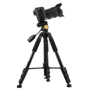 Q111 4-Section Folding Legs Live Broadcast Aluminum Alloy Tripod Mount with Three-dimensional Damping Tripod Heads(Black)