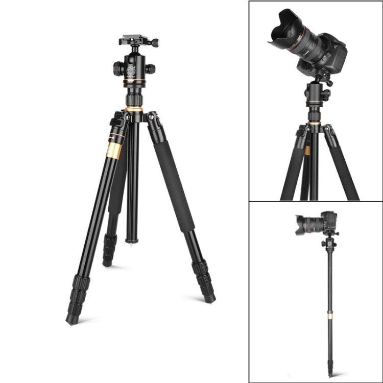 Q222 Portable 4-Section Folding Legs Aluminum Alloy Tripod Mount Monopod Holder with Ball Heads - Tripods by PMC TechLife | Online Shopping South Africa | PMC TechLife | Buy Now Pay Later Mobicred