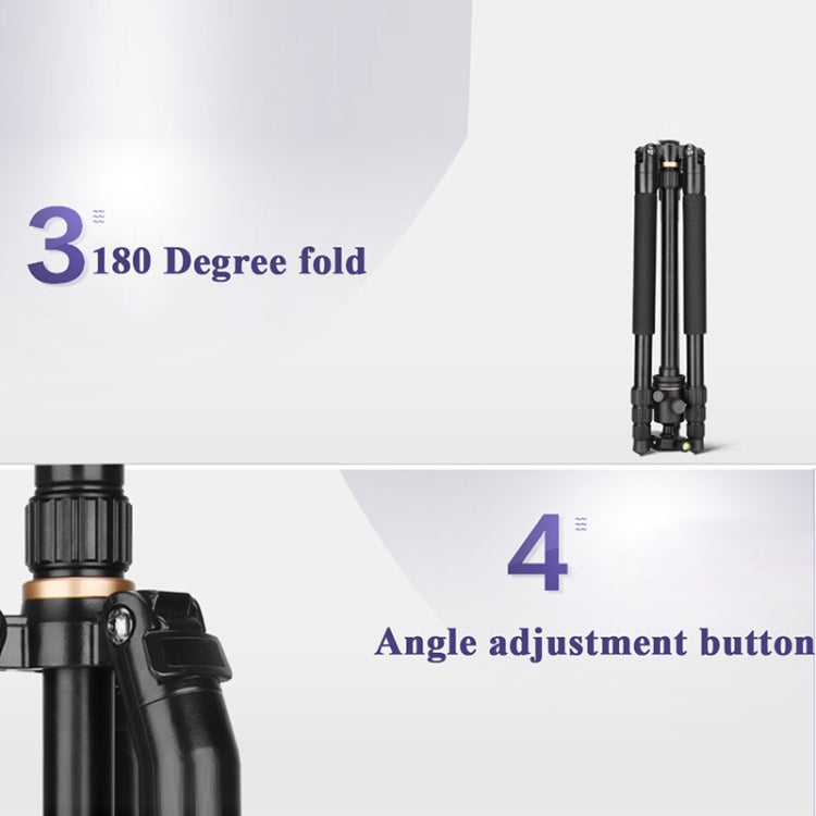 Q222 Portable 4-Section Folding Legs Aluminum Alloy Tripod Mount Monopod Holder with Ball Heads - Tripods by PMC TechLife | Online Shopping South Africa | PMC TechLife | Buy Now Pay Later Mobicred