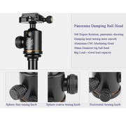 Q222 Portable 4-Section Folding Legs Aluminum Alloy Tripod Mount Monopod Holder with Ball Heads
