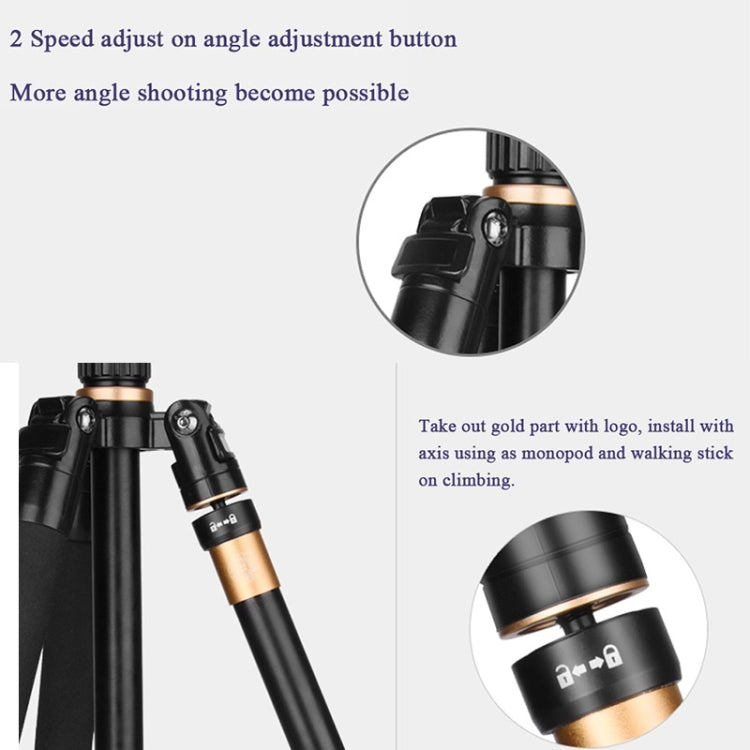 Q222 Portable 4-Section Folding Legs Aluminum Alloy Tripod Mount Monopod Holder with Ball Heads - Tripods by PMC TechLife | Online Shopping South Africa | PMC TechLife | Buy Now Pay Later Mobicred