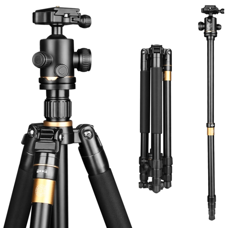 Q222 Portable 4-Section Folding Legs Aluminum Alloy Tripod Mount Monopod Holder with Ball Heads - Tripods by PMC TechLife | Online Shopping South Africa | PMC TechLife | Buy Now Pay Later Mobicred