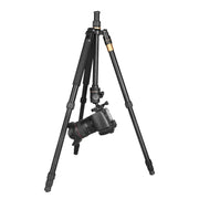 Q222 Portable 4-Section Folding Legs Aluminum Alloy Tripod Mount Monopod Holder with Ball Heads
