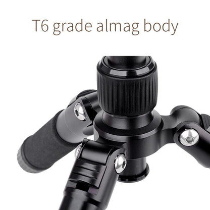 Xiletu FM5S-MINI 5-Section Folding Legs Mini Desktop Tripod Mount(Titanium) - free shipping - PMC Jewellery - Order now!