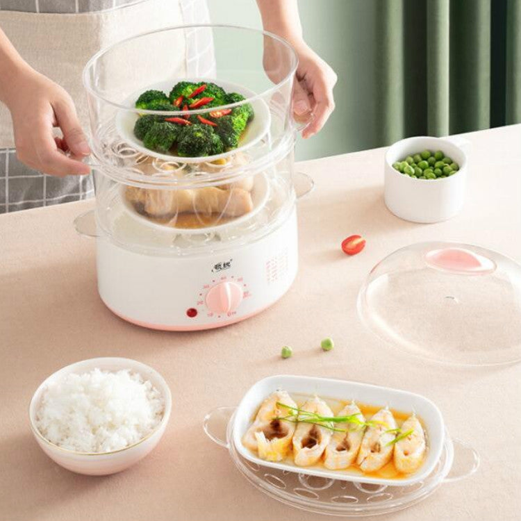 LINGRUI Timer Mini Multi-Function Egg Cooker Automatic Power Off Home Breakfast Machine, CN Plug, Specification:Double Layers(Grey)