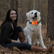 Automatic Voice Control Bark Arrester Collar Pet Supplies Trainer(Orange)