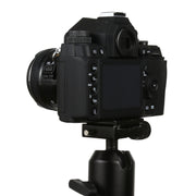 Non-Working Fake Dummy DSLR Camera Model DF Model Room Props Ornaments Display Photo Studio Camera Model Props, Color:Black(Without Hood)
